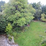 IMG 0903