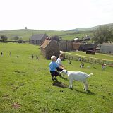 DSC07407